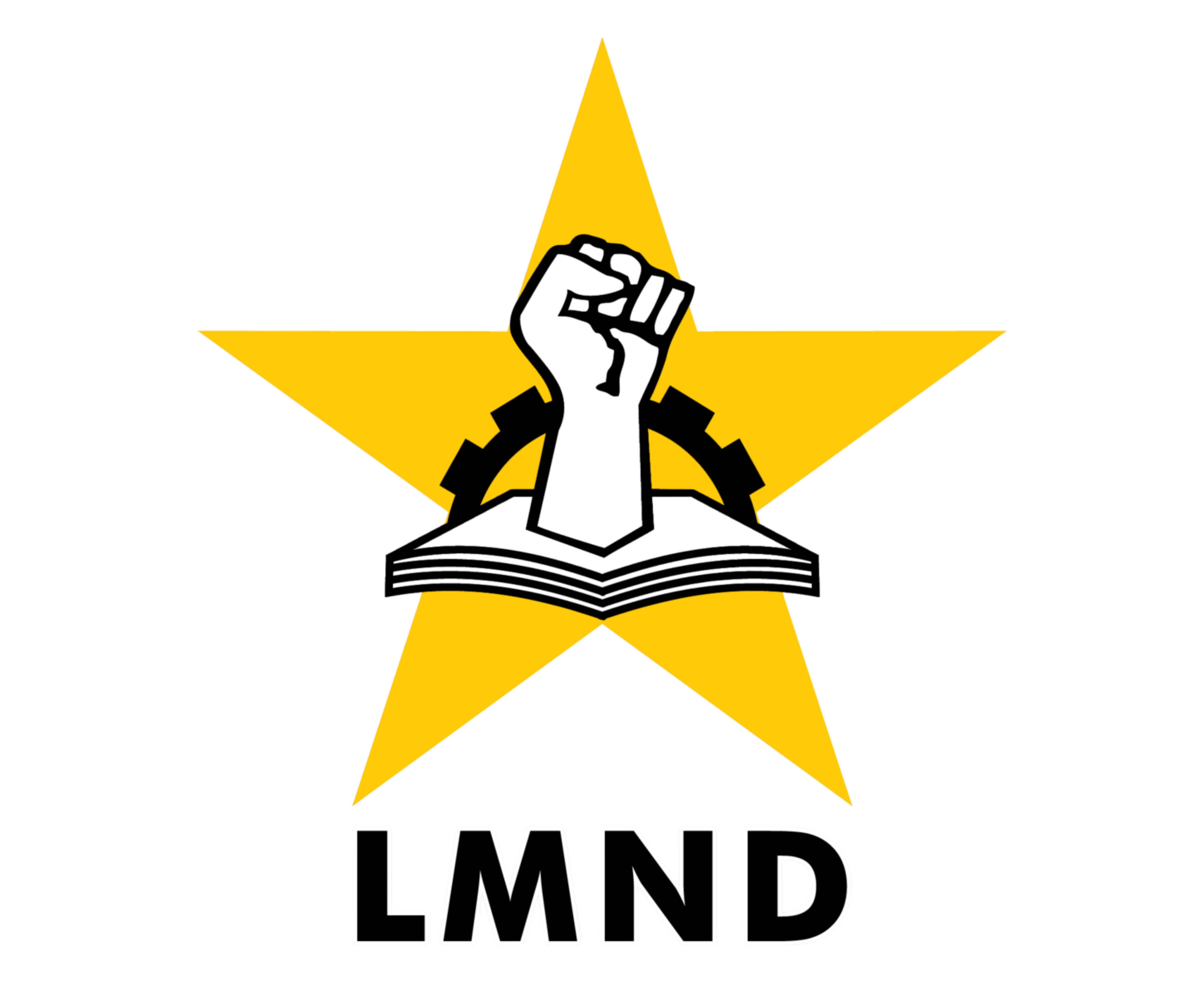 Logo LMND