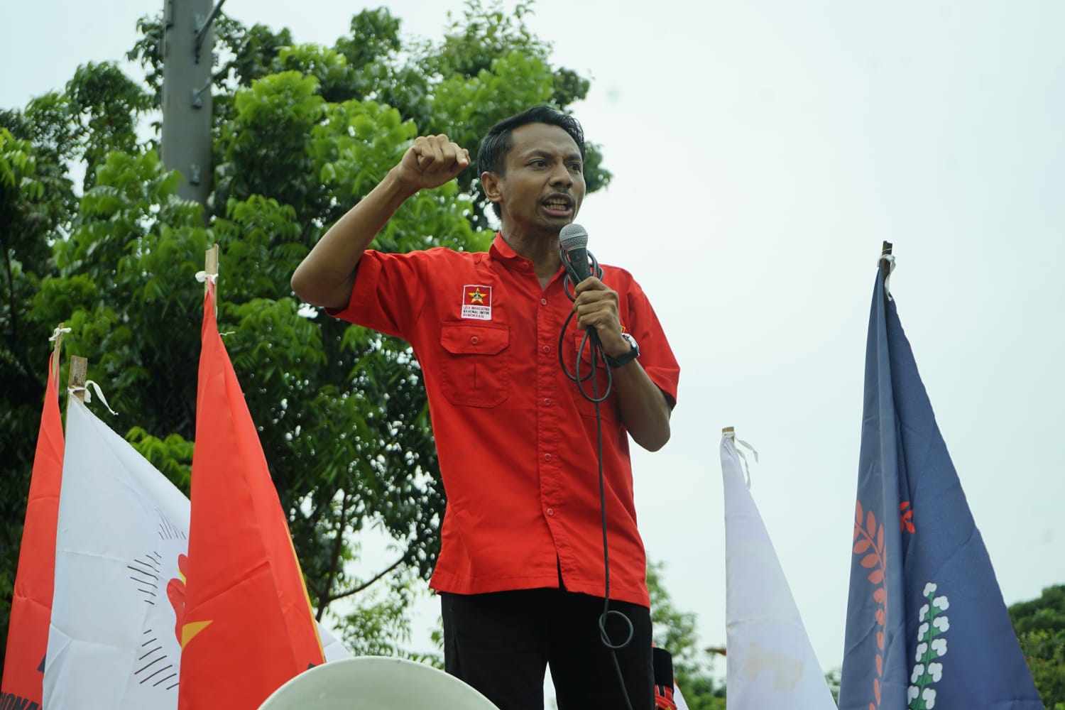 LMND Dukung Pengambilalihan Izin 22 Perusahaan PBPH Ke BUMN